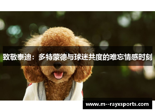 致敬泰迪:多特蒙德与球迷共度的难忘情感时刻 致敬泰迪:多特蒙德与球迷共度的难忘情感时刻
