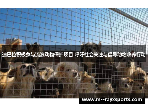 迪巴拉积极参与流浪动物保护项目 呼吁社会关注与倡导动物收养行动 迪巴拉积极参与流浪动物保护项目 呼吁社会关注与倡导动物收养行动
